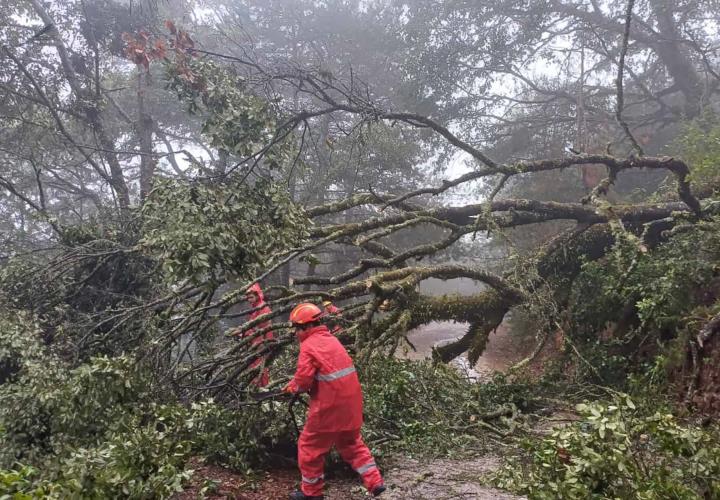 Hidalgosin cierres carreteros, pese a derrumbesHidalgo sin cierres carreteros, pese a derrumbes