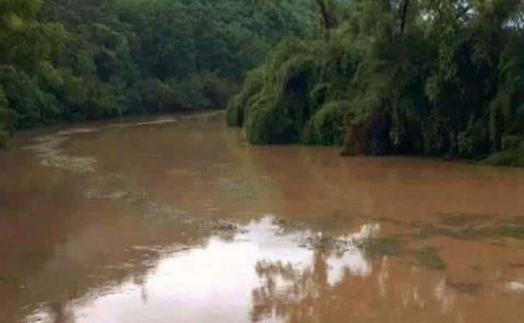 Parajes anegados; lluvia creció el río 

