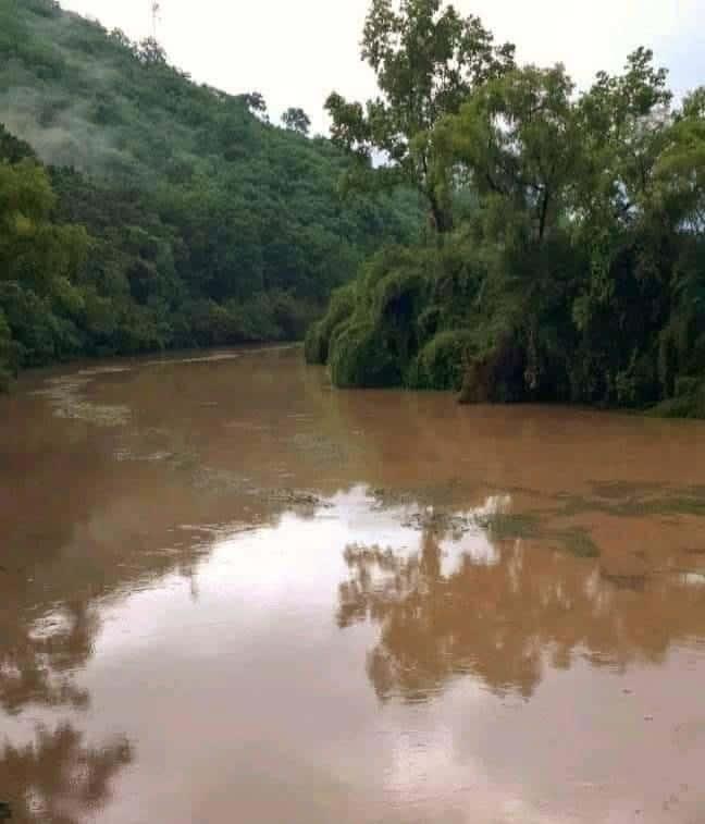 Parajes anegados; lluvia creció el río 