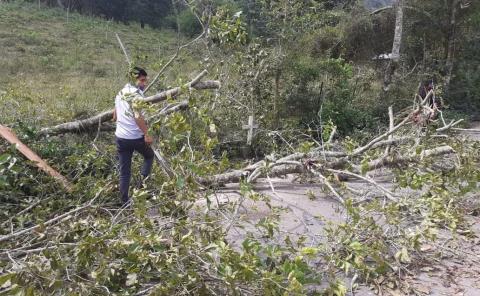 Tramo estatal con desgajes