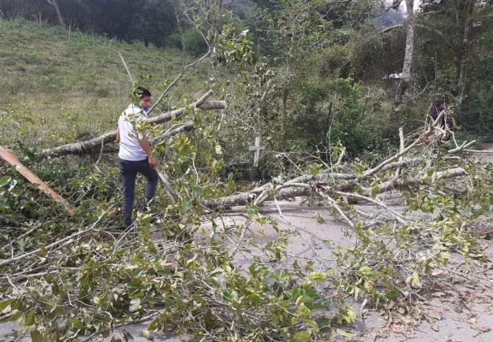 Tramo estatal con desgajes