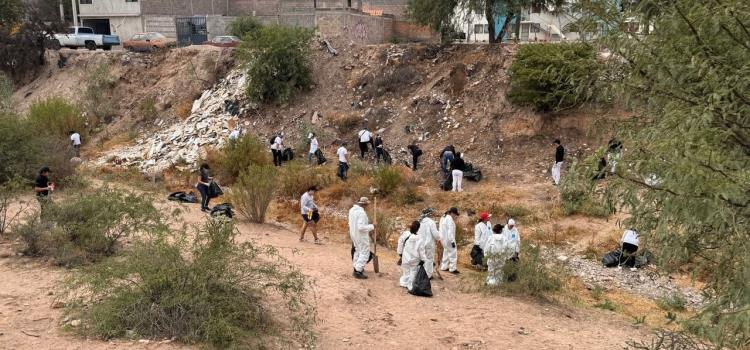 Limpian y reforestan ribera del "Paisanos"