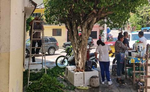 Áreas verdes recibieron mantenimiento por AP