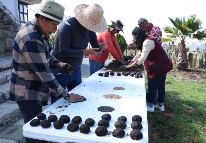 Avanza estrategia de reforestación en zonas de difícil acceso