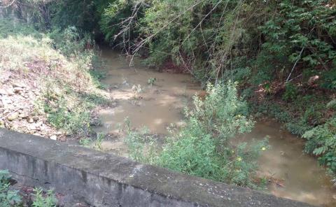 Arroyo recupera niveles de agua