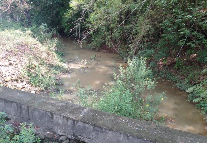 Arroyo recupera niveles de agua