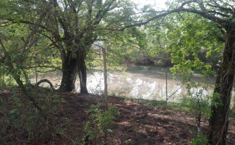 Lagunas y pozos recuperan sus niveles de agua