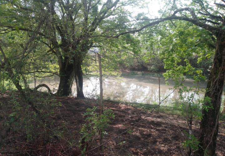 Lagunas y pozos recuperan sus niveles de agua