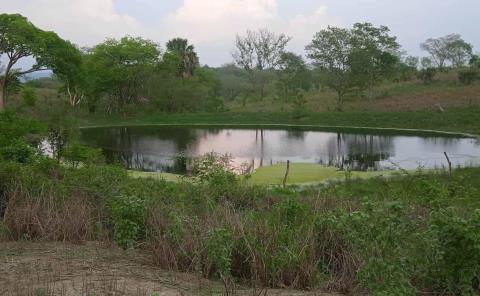 ‘Captaron’ agua las presas construidas
