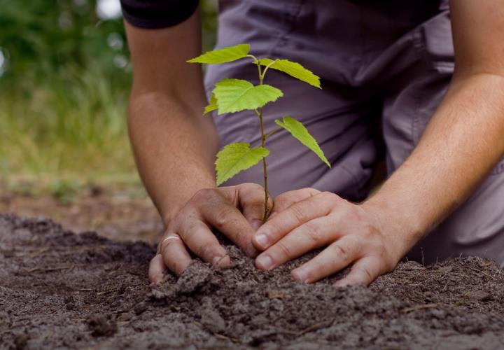 Invitan a participar en cursos de huertos urbanos