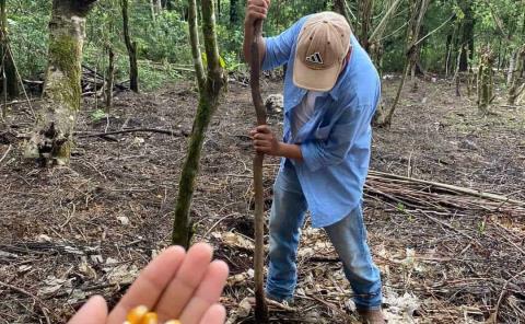 Lluvias mejorarán la producción del campo