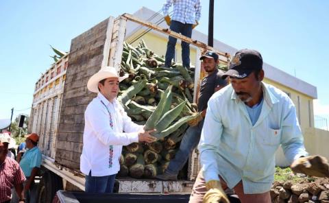 Titular de la Saderh entregó hijuelos de maguey a productores de Zempoala
