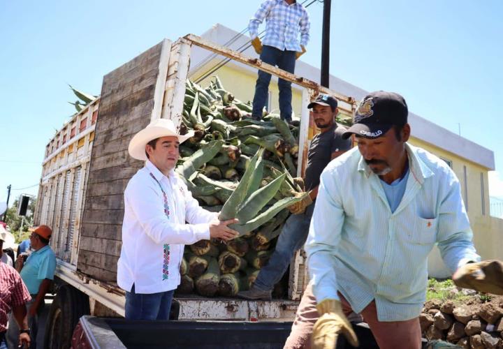 Titular de la Saderh entregó hijuelos de maguey a productores de Zempoala