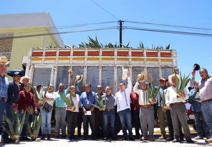 Titular de la Saderh entregó hijuelos de maguey a productores de Zempoala