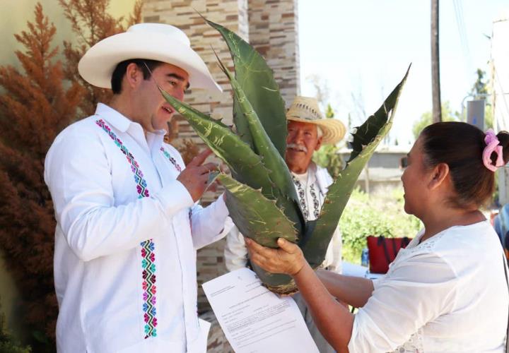 Titular de la Saderh entregó hijuelos de maguey a productores de Zempoala