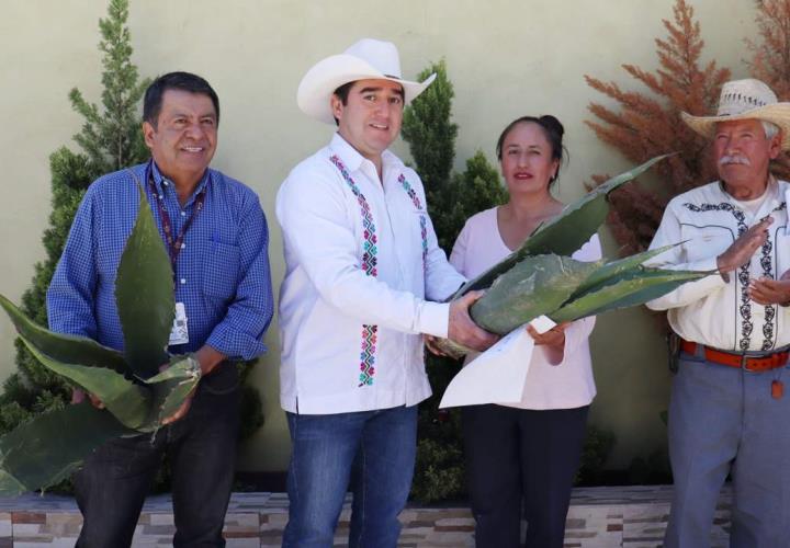 Titular de la Saderh entregó hijuelos de maguey a productores de Zempoala