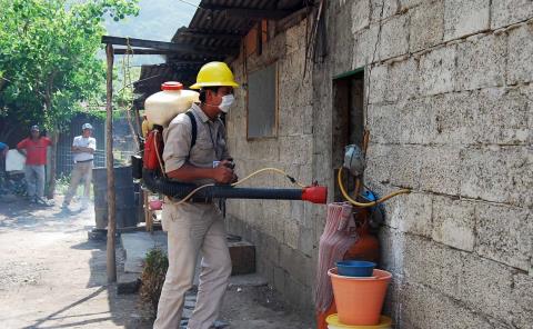 Actualización del Panorama Epidemiológico Estatal de Dengue