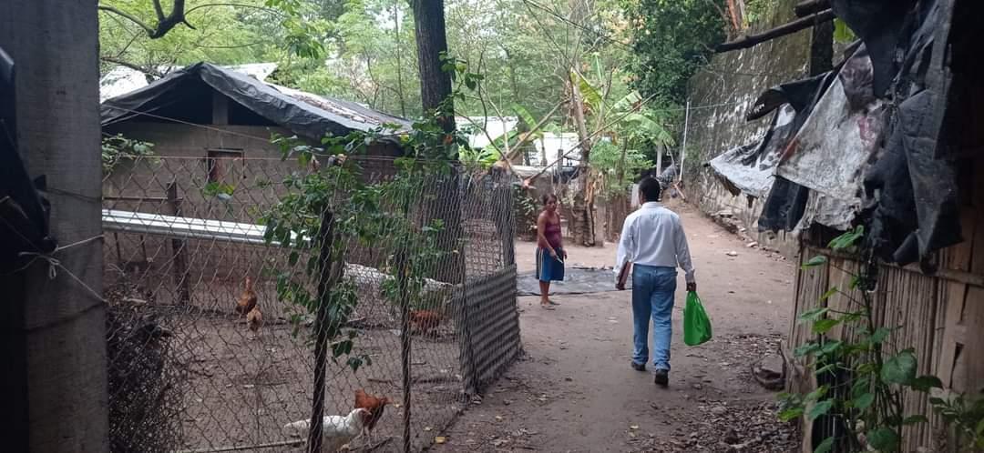 Comunidad de zancudos y moscas acechan domicilios