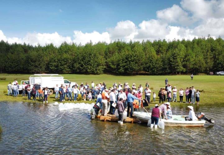 Entrega Saderh crías de peces en Acaxochitlán