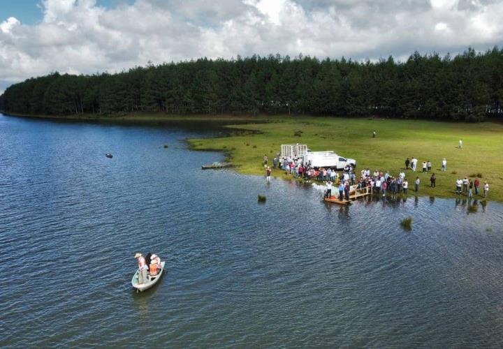 Entrega Saderh crías de peces en Acaxochitlán