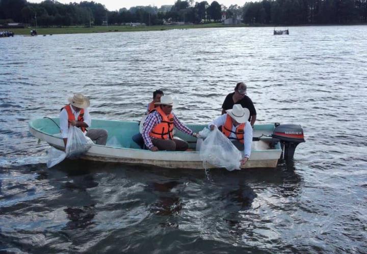 Entrega Saderh crías de peces en Acaxochitlán