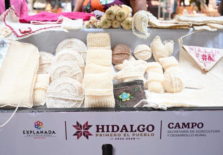 Regresan expositores de los "Campos de Hidalgo"