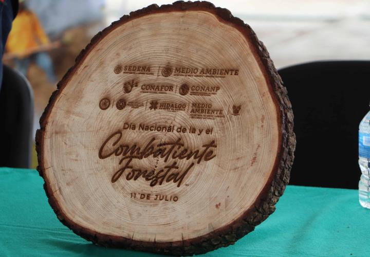 Conmemoración del Día Nacional del Combatiente Forestal 2024