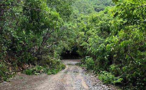 Piden mayor cuidado en riesgosa ruta