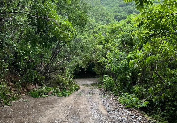 Piden mayor cuidado en riesgosa ruta