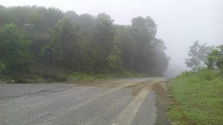 Precaución por niebla en curvas