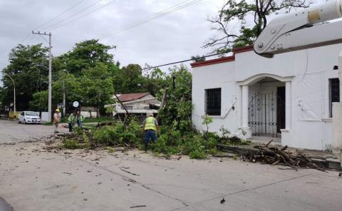 Dejan sin luz a la zona Centro