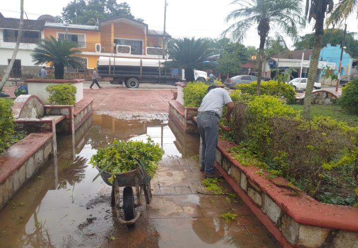 Dan mantenimiento al jardín municipal