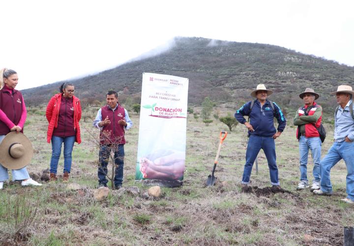 Reforestación en el Área Natural Protegida Cerro Grande en el marco del Mes del Bosque