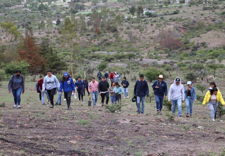 Reforestación en el Área Natural Protegida Cerro Grande en el marco del Mes del Bosque