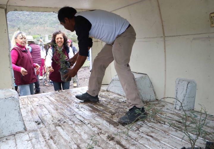 Reforestación en el Área Natural Protegida Cerro Grande en el marco del Mes del Bosque