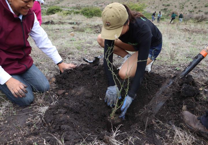 Reforestación en el Área Natural Protegida Cerro Grande en el marco del Mes del Bosque