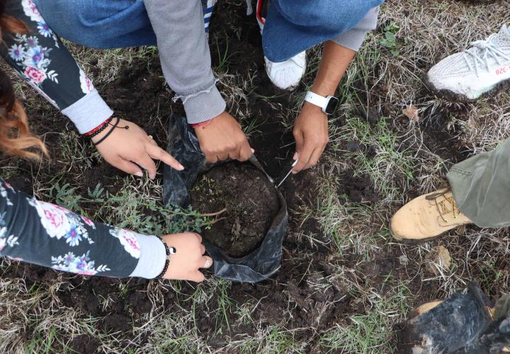 Reforestación en el Área Natural Protegida Cerro Grande en el marco del Mes del Bosque