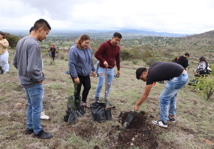 Reforestación en el Área Natural Protegida Cerro Grande en el marco del Mes del Bosque