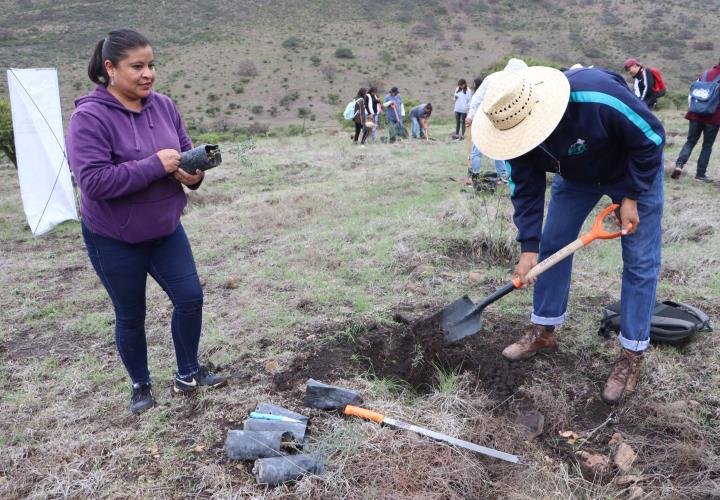 Reforestación en el Área Natural Protegida Cerro Grande en el marco del Mes del Bosque