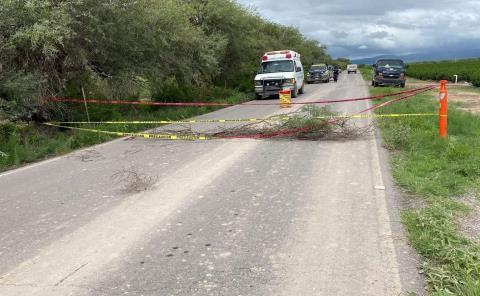 Aplicarán medidas contra las grietas 
