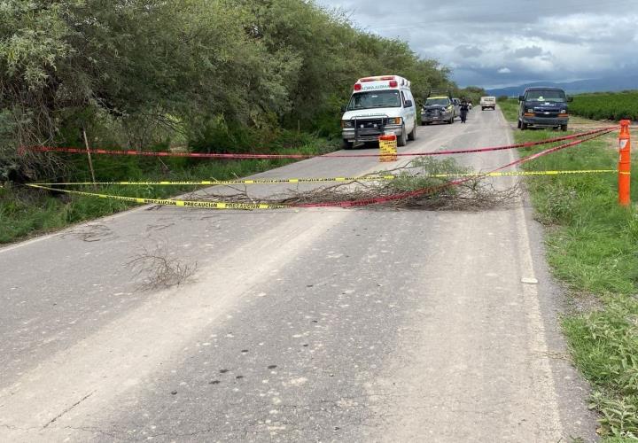 Aplicarán medidas contra las grietas 