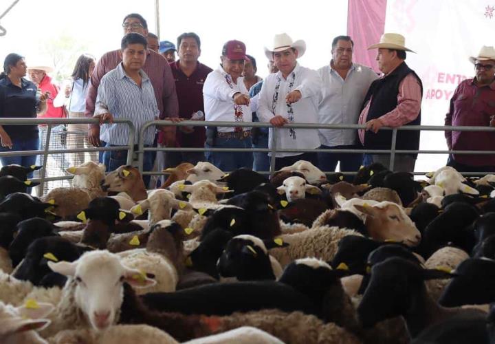 Fortalece Saderh bienestar de productores del campo, a través de diferentes apoyos y programas 