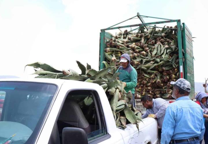 Fortalece Saderh bienestar de productores del campo, a través de diferentes apoyos y programas 