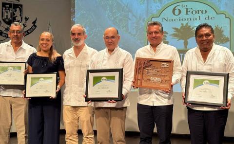 Premian a Capital por reforestación