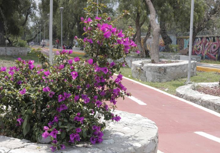 Concluye rehabilitación del andador y ciclovía del Río de las Avenidas