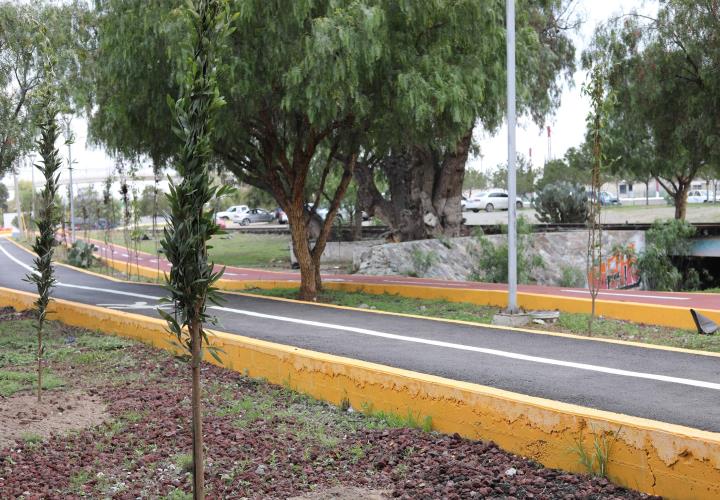 Concluye rehabilitación del andador y ciclovía del Río de las Avenidas