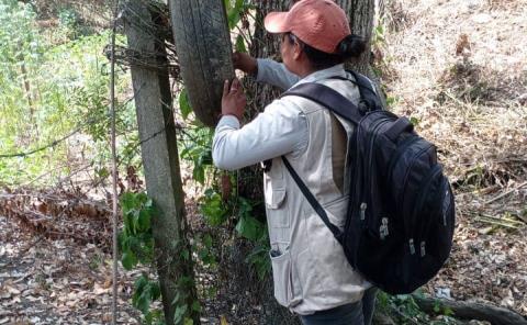 Combaten al zancudo
