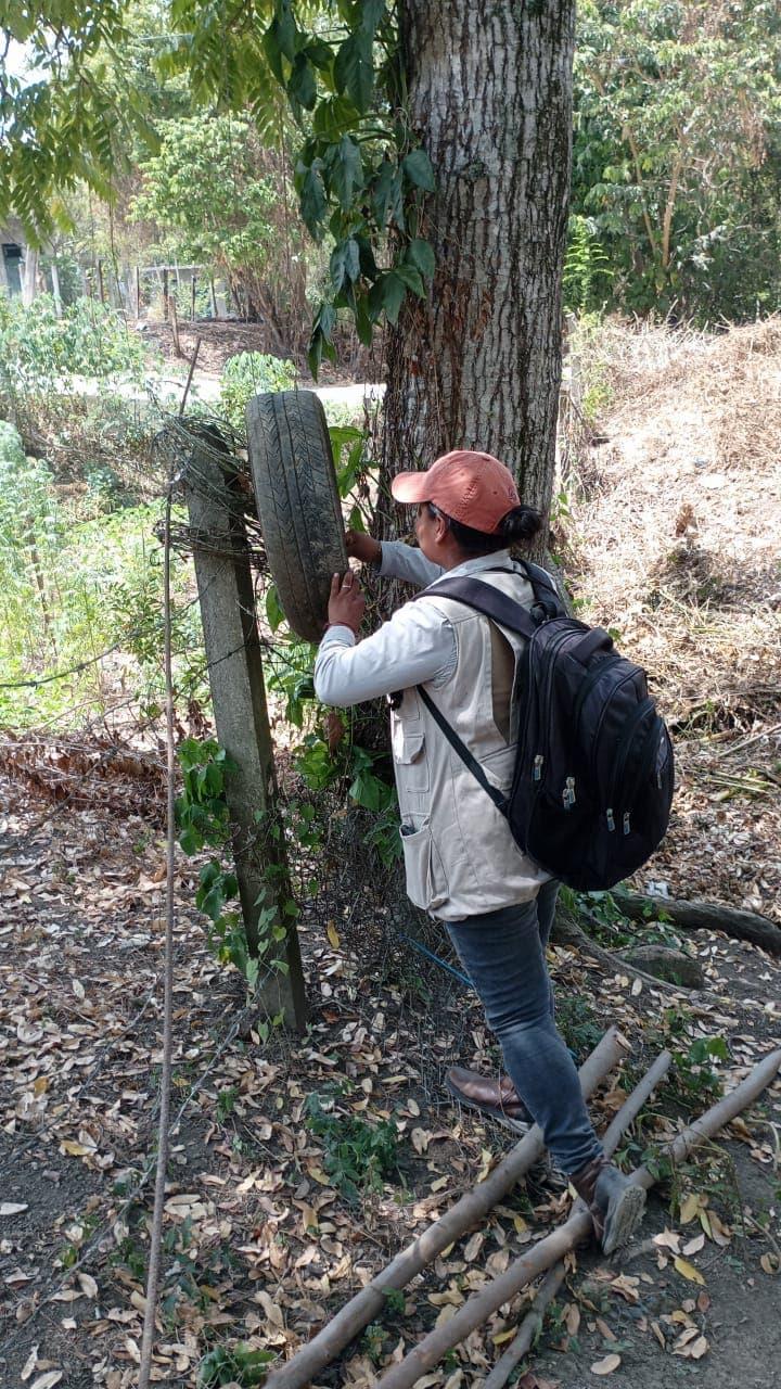 Combaten al zancudo