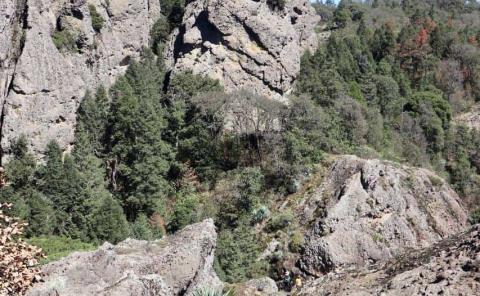 Diego Mateo: Centro Ecoturístico en Mineral del Chico