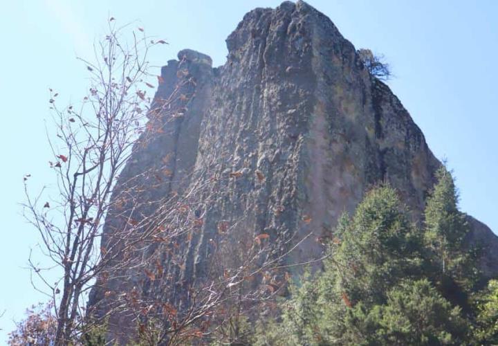 Diego Mateo: Centro Ecoturístico en Mineral del Chico